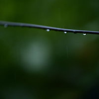 金網の針金に並ぶ水滴・雫の写真