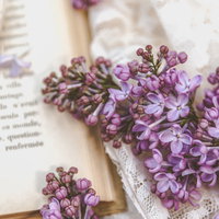 開かれた洋書に寄り添う紫色のライラックの枝の写真