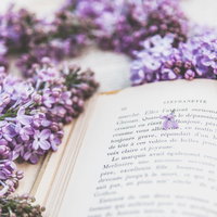 読みかけの洋書ページに落ちるライラックの生花の花びらの写真