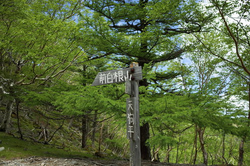 日光白根山の前白根山へといざなう木製指導標