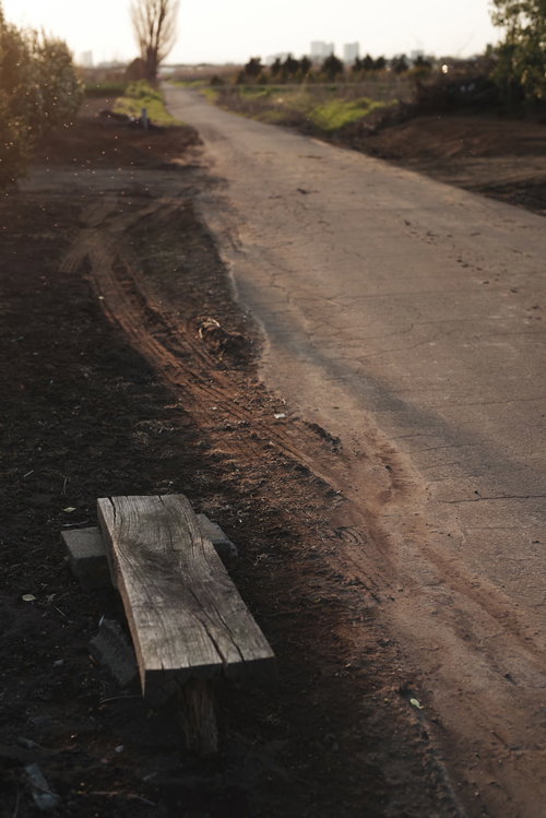 陽光に照らされる未舗装の農道とタイヤ跡、道端の休憩用の椅子