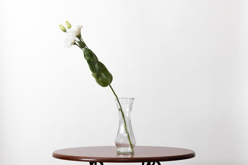 白いカーネーションを活ける一輪挿しの花瓶