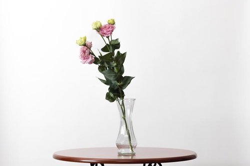 テーブルに飾った白とピンクのカーネーション一輪挿しの花瓶