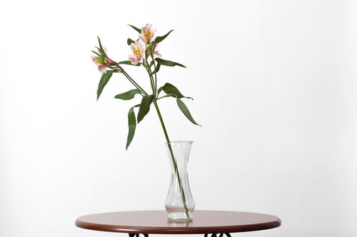 花瓶に活けたピンク色のアルストロメリアの切り花