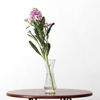 シンプルなガラスの花瓶に活けた紫のナデシコの一輪挿しの写真