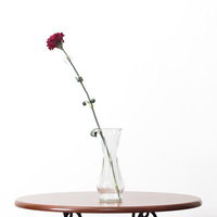 透明なガラス花瓶に飾った赤いバラの一輪の写真