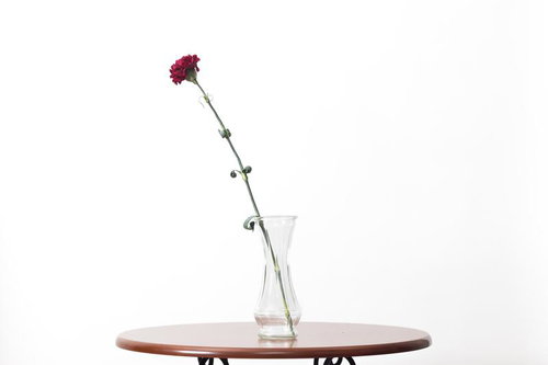 透明なガラス花瓶に飾った赤いバラの一輪