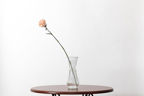 ガラスの一輪挿しに活けたピンクのカーネーション