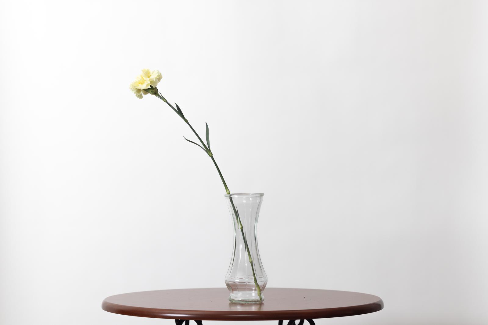 木製テーブルの上に置かれた透明な花瓶に白いカーネーションを活けた一輪挿し
