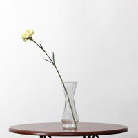 白いカーネーションを活ける透明な花瓶の一輪挿しの写真