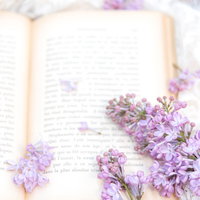 古書の上に飾られたライラックの生花、薄紫色の花房の写真