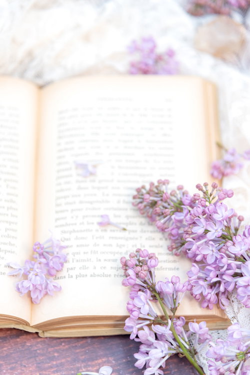 古書の上に飾られたライラックの生花、薄紫色の花房