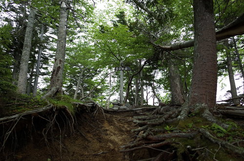 日本百名山・日光白根山へ向かう登山道の指導標