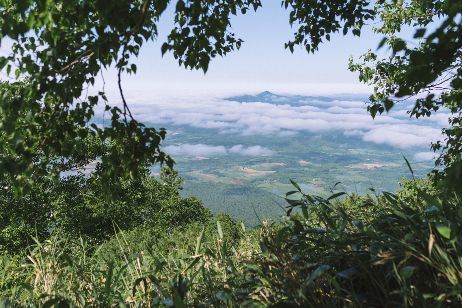 雲海の向こうに後志羊蹄山が見える緑豊かな風景