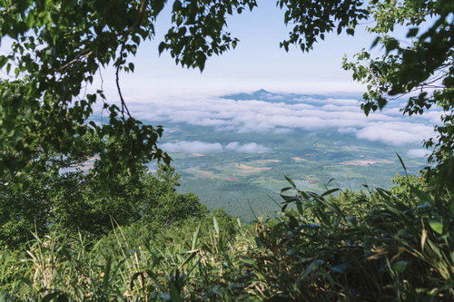 雲海の向こうに見える後志羊蹄山と樹木の重なり