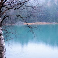 北海道・阿寒国立公園オンネトーのエメラルドグリーンの湖面の写真