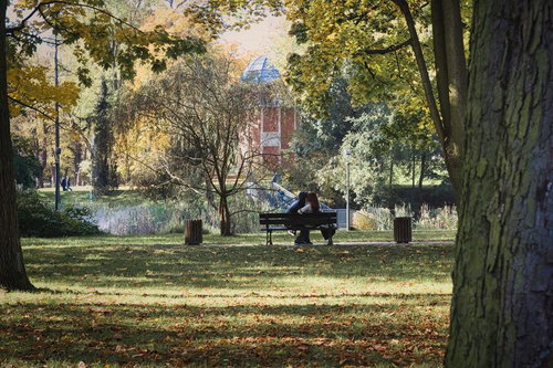 秋風に揺れる木々とベンチのカップル、チェンストホバの公園