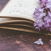 木製テーブルに開かれた古い洋書とライラックの花の写真