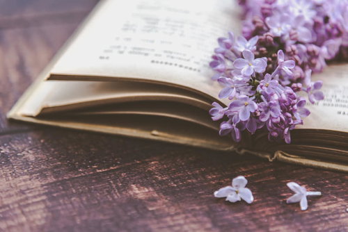 木製テーブルに開かれた古い洋書とライラックの花