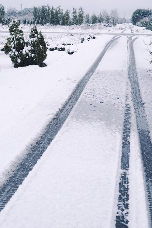 雪に包まれた農道に残るタイヤ跡と冬景色、田畑の風景