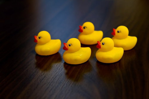 暗い道に1匹だけぽつんと立つ不安げなあひるちゃんのおもちゃ