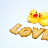 LOVE（ラブ）恋するあひるちゃんの写真