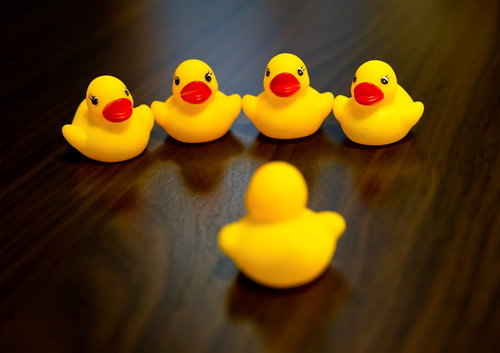 皆に説明するあひるちゃん