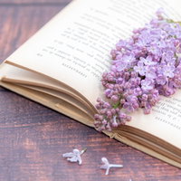 洋書に挟まれたライラックの花のしおり、木製テーブルに置かれた生花の写真