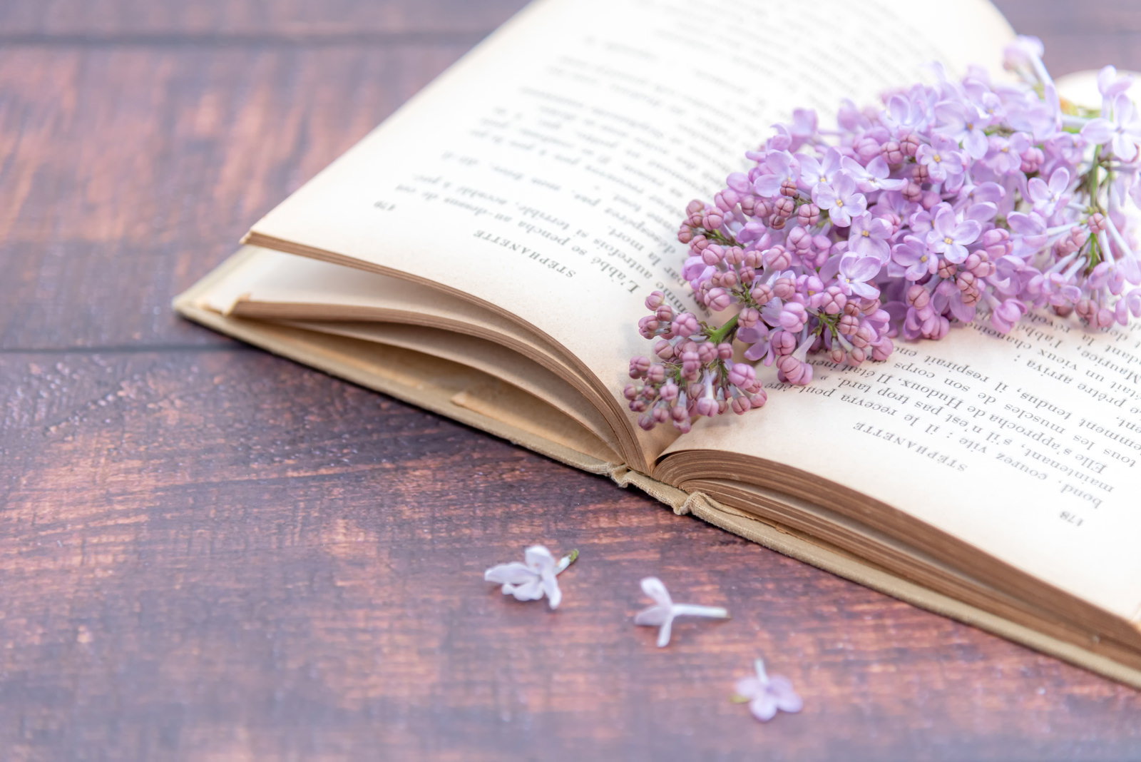 洋書のページに挟まれた紫色のライラックの花としおりの写真