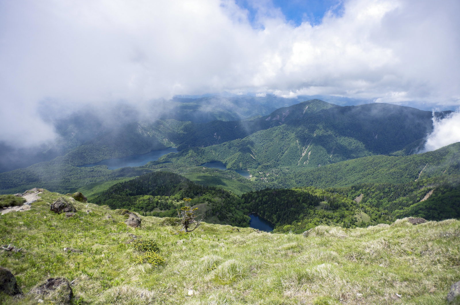 日光白根山山頂から見た雲海に包まれた緑豊かな山稜の風景