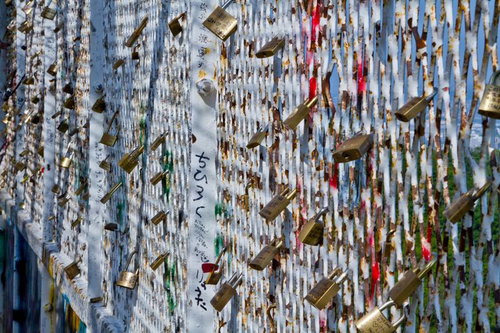 金属フェンスに複数括り付けられた錆びた南京錠