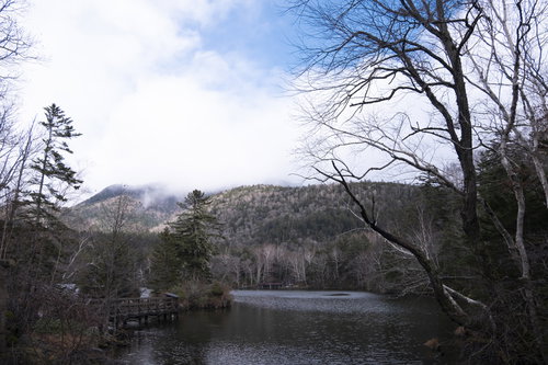 北海道・阿寒湖と立ち枯れの山々の冬景色