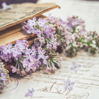 洋書の上に散らばるライラックの生花と手紙の写真