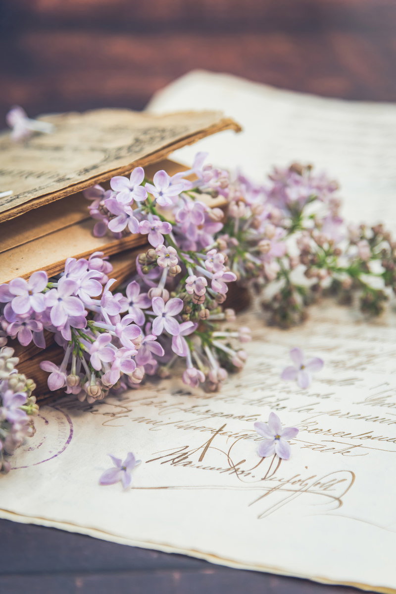 洋書の上に置かれた紫のライラックの花と手紙に散る花弁