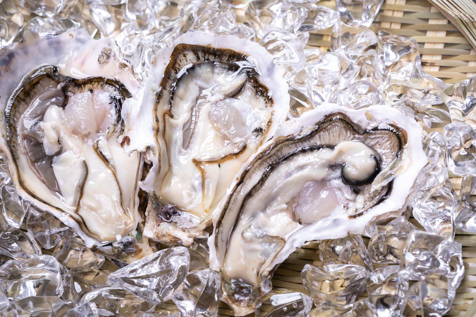 氷の上に盛られた複数の生牡蠣