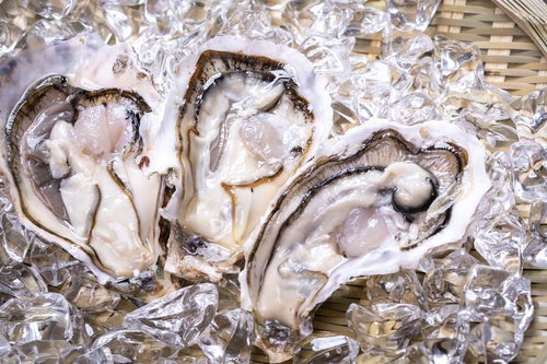 氷上に並んだ新鮮な生牡蠣の盛り合わせ