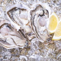 氷に浮かぶ生牡蠣とレモン、新鮮な海の幸の盛り付けの写真