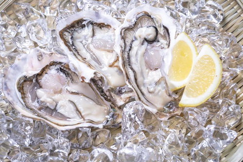 氷に浮かぶ生牡蠣とレモン、新鮮な海の幸の盛り付け