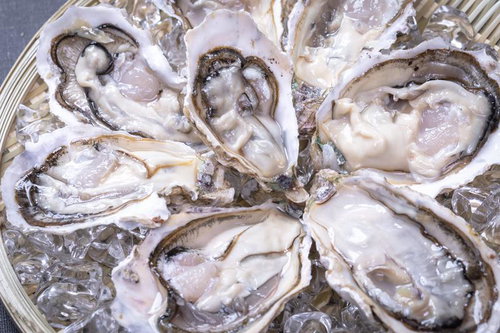 氷の上に盛られた鮮度の高い生ガキ、白い貝殻と透明感のある身