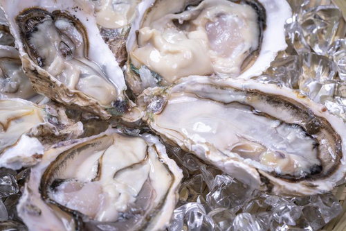 盛り付けられた生牡蠣と海のミルク：氷上の新鮮貝類