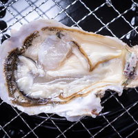 網焼きで調理される牡蠣の殻が開いた状態と貝柱の写真