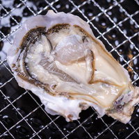 焼き網上の牡蠣の写真