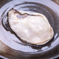 白い皿に盛った生牡蠣と黒い殻の写真