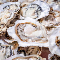 殻付きの生牡蠣の盛り合わせ、新鮮な海の幸の盛り盤の写真