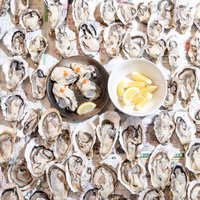 一面に敷き詰められた生牡蠣とカットレモンの写真