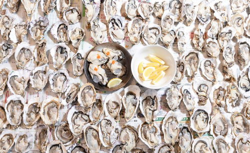 一面に敷き詰められた生牡蠣とカットレモン