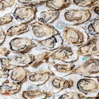 新聞紙の上に並ぶ生牡蠣尽くしの豪華盛り合わせの写真