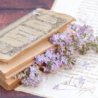 開かれた洋書に挟まるライラックの花と手紙の写真