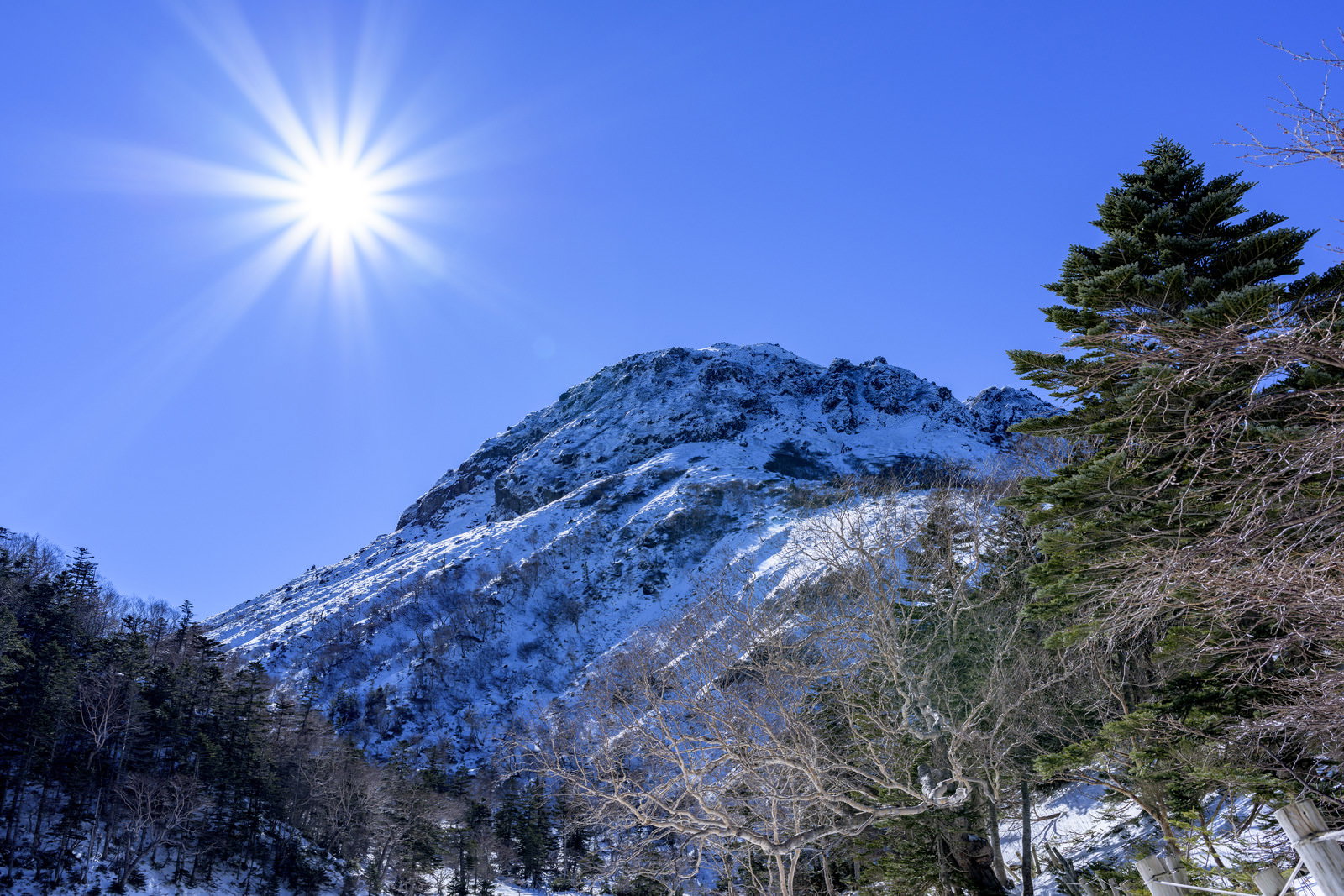 快晴の青空の下、日光白根山山頂方面を見上げる