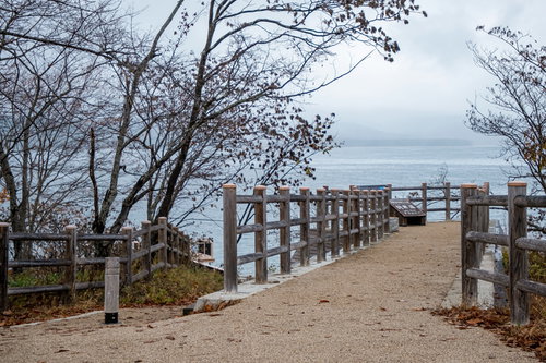 北海道・阿寒湖の湖畔を歩む木製遊歩道の秋景色
